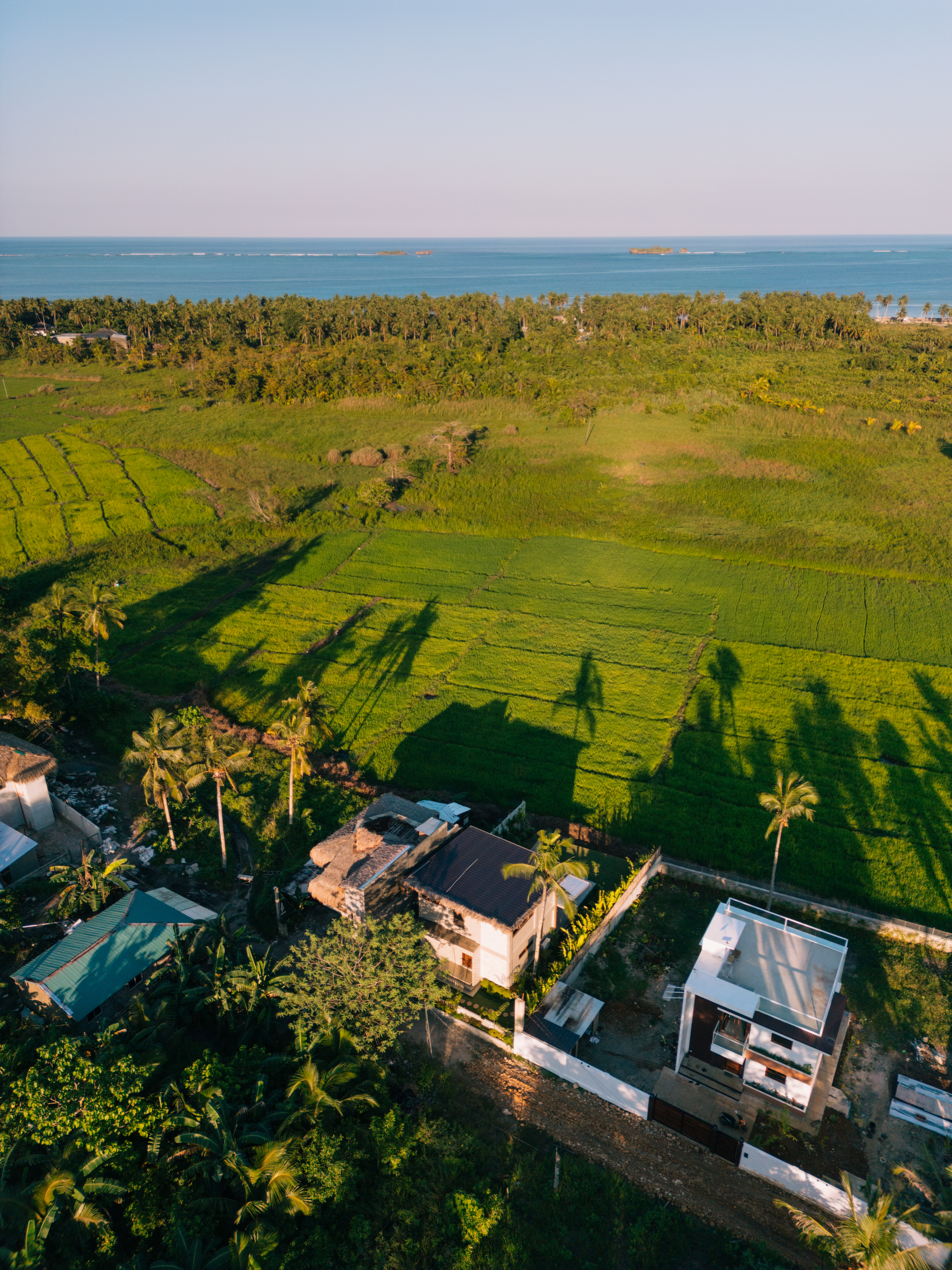 Aerial drone view of Isabel Siargao villa surrounded by rice fields