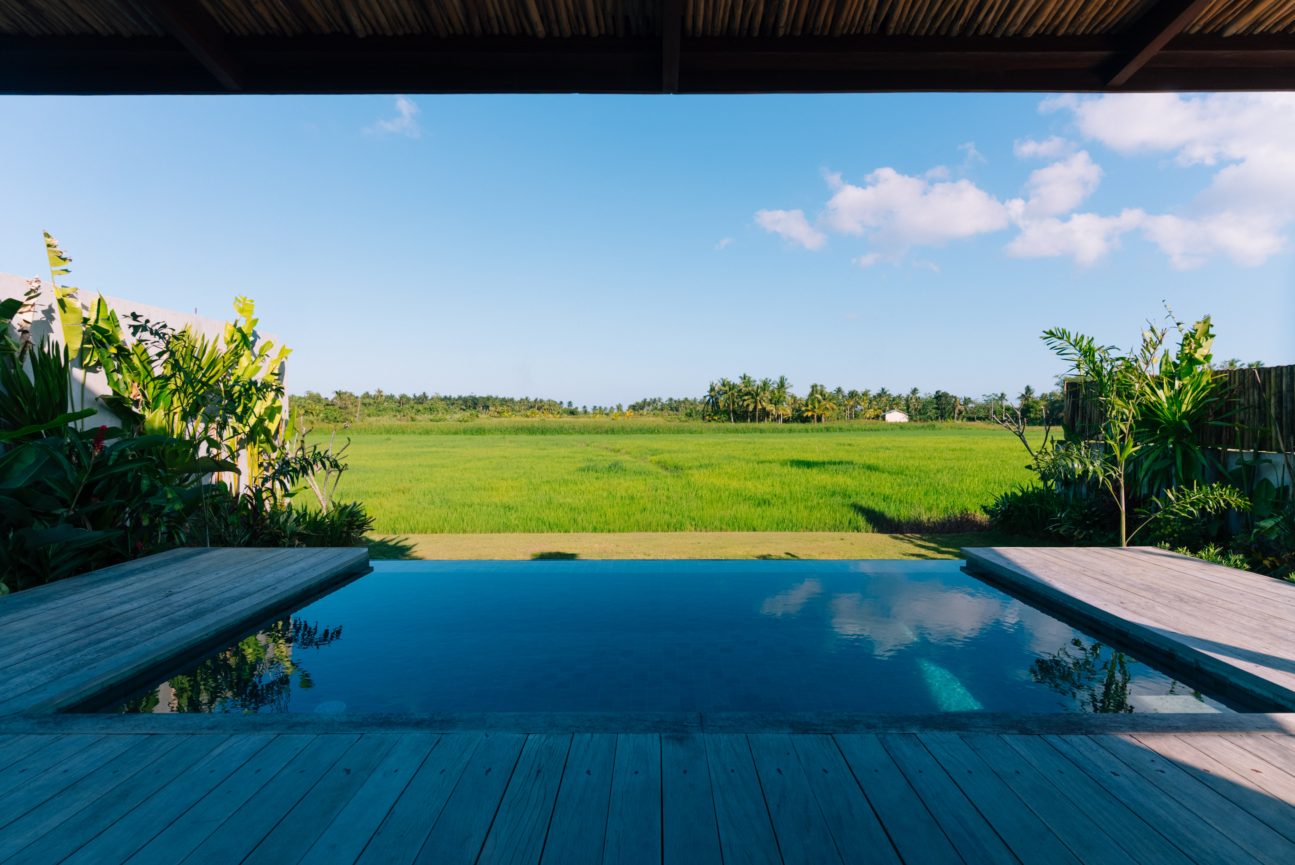 Private swimming pool at Isabel Siargao villa with rice field views